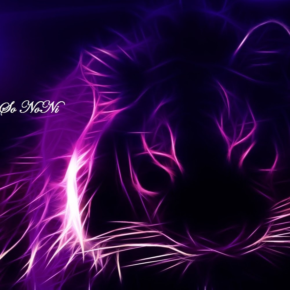 Meet your Posher, So